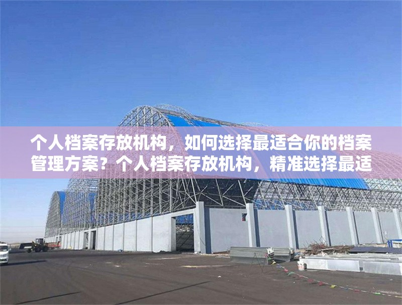 個人檔案存放機構(gòu)，如何選擇最適合你的檔案管理方案？個人檔案存放機構(gòu)，精準選擇最適合檔案管理方案的攻略