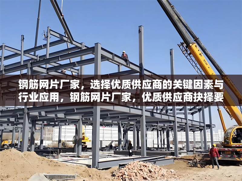 鋼筋網(wǎng)片廠家，選擇優(yōu)質(zhì)供應(yīng)商的關(guān)鍵因素與行業(yè)應(yīng)用，鋼筋網(wǎng)片廠家，優(yōu)質(zhì)供應(yīng)商抉擇要點及行業(yè)應(yīng)用全解析