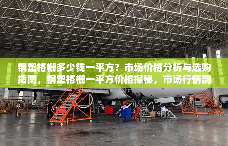鋼塑格柵多少錢(qián)一平方？市場(chǎng)價(jià)格分析與選購(gòu)指南，鋼塑格柵一平方價(jià)格探秘，市場(chǎng)行情剖析與選購(gòu)