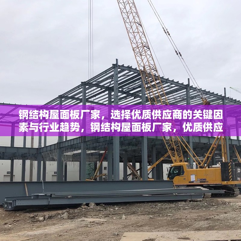 鋼結(jié)構(gòu)屋面板廠家，選擇優(yōu)質(zhì)供應(yīng)商的關(guān)鍵因素與行業(yè)趨勢，鋼結(jié)構(gòu)屋面板廠家，優(yōu)質(zhì)供應(yīng)商選擇要點與行業(yè)趨勢洞察