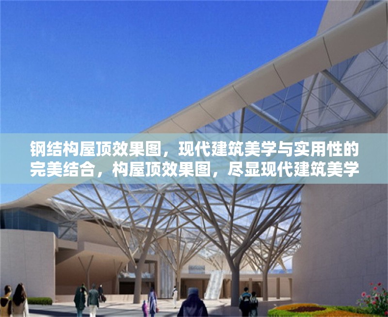 鋼結(jié)構(gòu)屋頂效果圖，現(xiàn)代建筑美學(xué)與實(shí)用性的完美結(jié)合，構(gòu)屋頂效果圖，盡顯現(xiàn)代建筑美學(xué)與實(shí)用 行業(yè)新聞