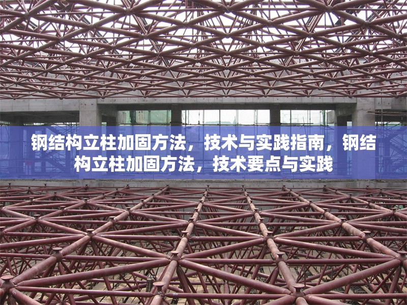 鋼結(jié)構(gòu)立柱加固方法，技術(shù)與實(shí)踐指南，鋼結(jié)構(gòu)立柱加固方法，技術(shù)要點(diǎn)與實(shí)踐 行業(yè)新聞