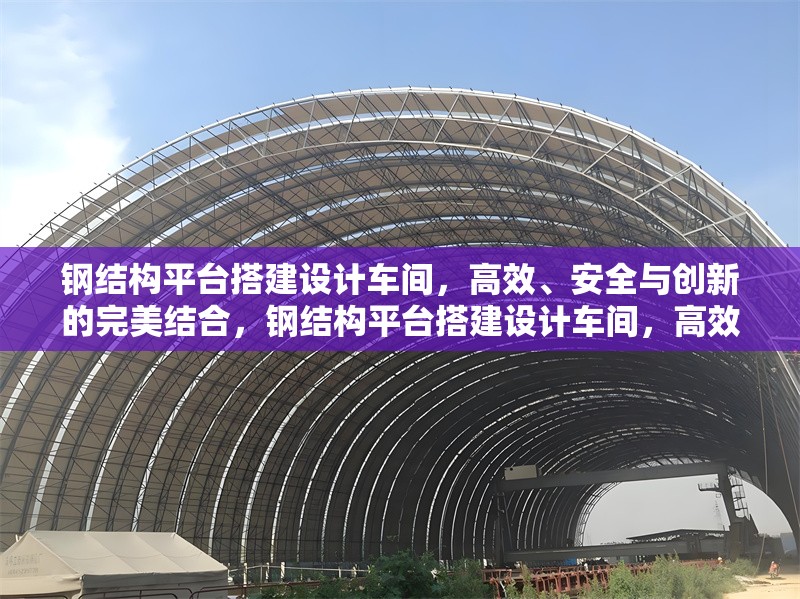 鋼結(jié)構(gòu)平臺(tái)搭建設(shè)計(jì)車間，高效、安全與創(chuàng)新的完美結(jié)合，鋼結(jié)構(gòu)平臺(tái)搭建設(shè)計(jì)車間，高效安全創(chuàng)新