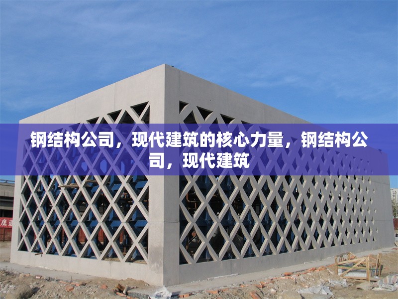 鋼結(jié)構(gòu)公司，現(xiàn)代建筑的核心力量，鋼結(jié)構(gòu)公司，現(xiàn)代建筑