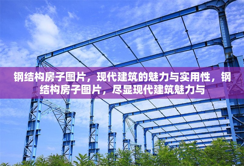鋼結構房子圖片，現(xiàn)代建筑的魅力與實用性，鋼結構房子圖片，盡顯現(xiàn)代建筑魅力與 行業(yè)新聞