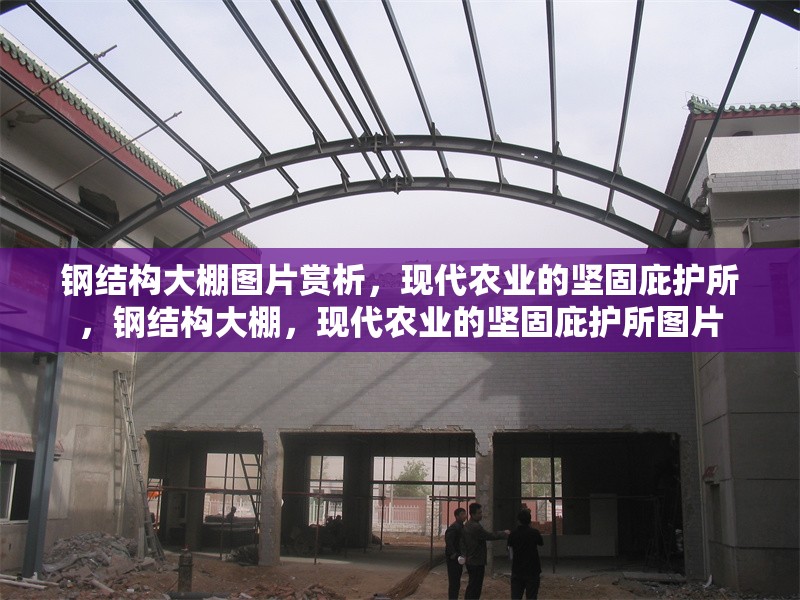 鋼結(jié)構(gòu)大棚圖片賞析，現(xiàn)代農(nóng)業(yè)的堅固庇護(hù)所，鋼結(jié)構(gòu)大棚，現(xiàn)代農(nóng)業(yè)的堅固庇護(hù)所圖片