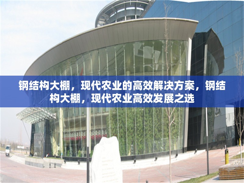 鋼結(jié)構(gòu)大棚，現(xiàn)代農(nóng)業(yè)的高效解決方案，鋼結(jié)構(gòu)大棚，現(xiàn)代農(nóng)業(yè)高效發(fā)展之選 行業(yè)新聞