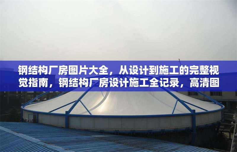 鋼結(jié)構(gòu)廠房圖片大全，從設(shè)計(jì)到施工的完整視覺指南，鋼結(jié)構(gòu)廠房設(shè)計(jì)施工全記錄，高清圖片 行業(yè)新聞