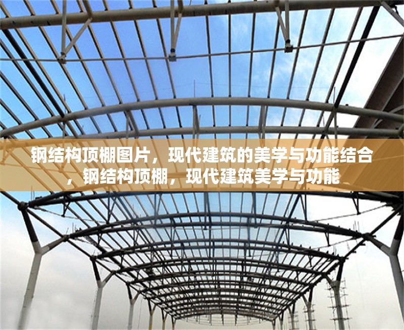 鋼結(jié)構(gòu)頂棚圖片，現(xiàn)代建筑的美學(xué)與功能結(jié)合，鋼結(jié)構(gòu)頂棚，現(xiàn)代建筑美學(xué)與功能 行業(yè)新聞