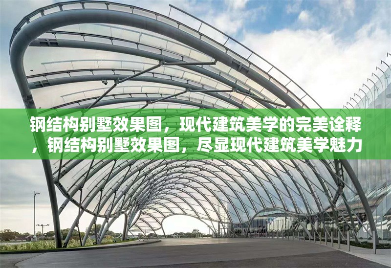 鋼結(jié)構(gòu)別墅效果圖，現(xiàn)代建筑美學(xué)的完美詮釋，鋼結(jié)構(gòu)別墅效果圖，盡顯現(xiàn)代建筑美學(xué)魅力 行業(yè)新聞