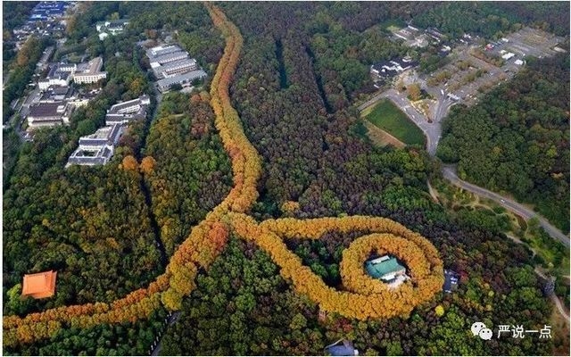 碳纖維加固在古建筑中的應(yīng)用案例 行業(yè)新聞 第5張 碳纖維加固在古建筑中的應(yīng)用案例 行業(yè)新聞 第5張