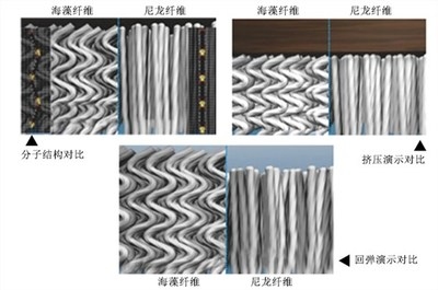 碳纖維材料耐久性測(cè)試的最新技術(shù)進(jìn)展，碳纖維材料耐久性測(cè)試，最新技術(shù) 行業(yè)新聞 第2張