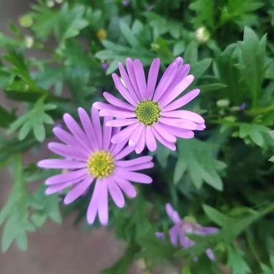 外包鋼法加固成本分析，外包鋼法加固成本的多維度剖析