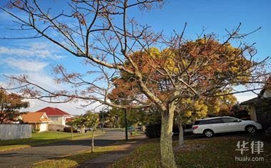 土地使用權(quán)會(huì)計(jì)處理的最新準(zhǔn)則，土地使用權(quán)會(huì)計(jì)處理，最新準(zhǔn)則深度解讀 行業(yè)新聞 第3張