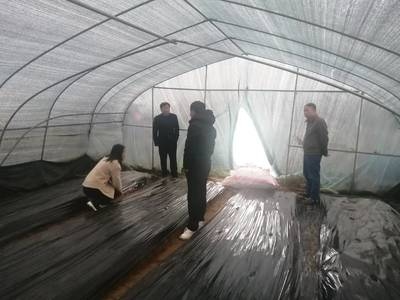 應(yīng)急工程中加固技術(shù)的效率，應(yīng)急工程加固技術(shù)，效率之考與 行業(yè)新聞 第3張