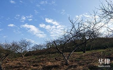 土地使用權(quán)攤銷稅務(wù)處理指南，土地使用權(quán)攤銷稅務(wù)處理全攻略，政策解讀與實操要點 行業(yè)新聞 第2張