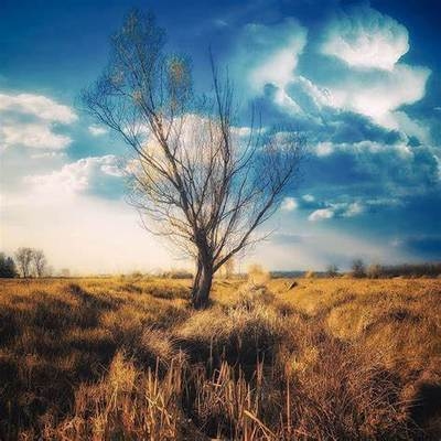 項(xiàng)目經(jīng)理責(zé)任制成功經(jīng)驗(yàn)，項(xiàng)目經(jīng)理責(zé)任制，成功經(jīng)驗(yàn)與實(shí)踐之道 行業(yè)新聞 第2張