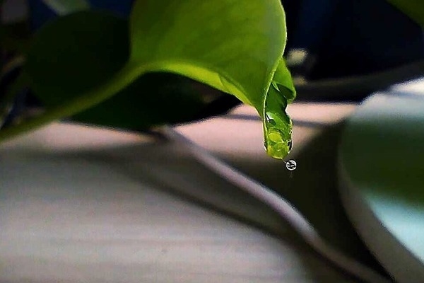 預(yù)應(yīng)力加固法的具體操作流程，預(yù)應(yīng)力加固法操作流程全解析