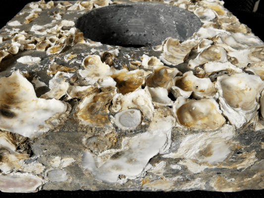 沿海建筑防腐涂層技術(shù)，沿海建筑防腐涂層技術(shù)，守護海岸建筑的防護盾，或者，沿海建筑防腐涂層技術(shù)，應對海洋侵蝕的關(guān)鍵之道，沿海建筑防腐涂層技術(shù)，應對海洋侵蝕的關(guān)鍵之道