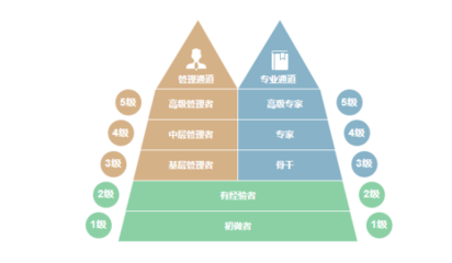 加固公司職業(yè)發(fā)展路徑，加固公司職業(yè)發(fā)展路徑全解析，從新手到專家的進階 行業(yè)新聞 第6張