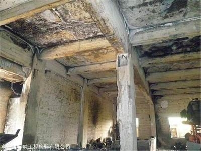 加固公司服務(wù)質(zhì)量評(píng)價(jià)，加固公司服務(wù)質(zhì)量深度剖析與綜合評(píng)價(jià) 行業(yè)新聞 第4張