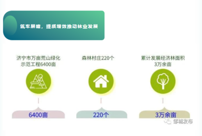 綠色加固技術(shù)的經(jīng)濟(jì)效益分析，綠色加固技術(shù)經(jīng)濟(jì)效益，多維度剖析與 行業(yè)新聞 第3張