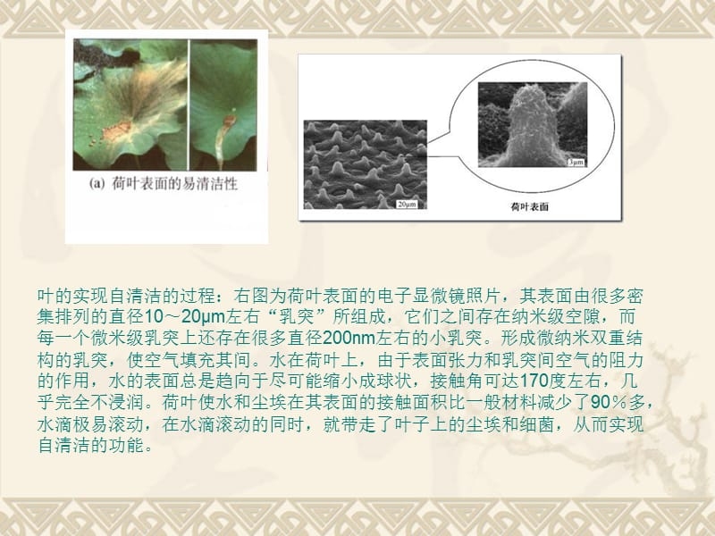 納米材料加固技術(shù)原理，納米材料加固技術(shù)，微觀原理與作用