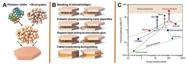 納米材料加固技術原理，納米材料加固技術，微觀原理與作用 行業(yè)新聞 第5張