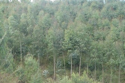 碳纖維材料環(huán)境適應(yīng)性評(píng)價(jià)標(biāo)準(zhǔn)，碳纖維材料環(huán)境適應(yīng)性評(píng)價(jià)標(biāo)準(zhǔn)，性能、應(yīng)用與可持續(xù)發(fā)展考量