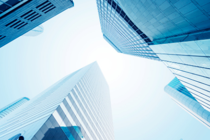 加固技術(shù)選擇與施工工藝，加固技術(shù)選擇與施工工藝，建筑工程質(zhì)量