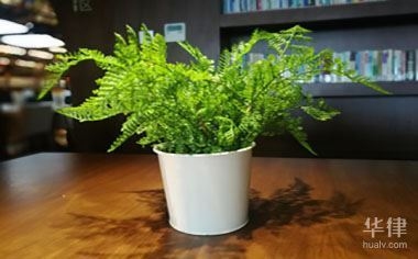 建筑設(shè)計圖紙版權(quán)查詢流程，建筑設(shè)計圖紙版權(quán)查詢流程 行業(yè)新聞 第1張