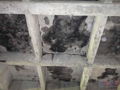 碳纖維布加固后的維護(hù)方法，碳纖維布加固后如何維護(hù)？ 行業(yè)新聞 第4張