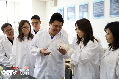 碳纖維布高溫力學(xué)性能變化，碳纖維布高溫下力學(xué)性能演變探究 行業(yè)新聞 第3張