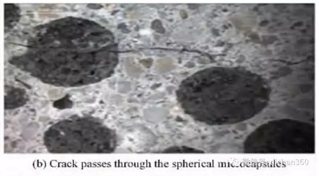 自愈合混凝土的研究進(jìn)展，自愈合混凝土研究進(jìn)展，現(xiàn)狀、挑戰(zhàn) 行業(yè)新聞 第4張