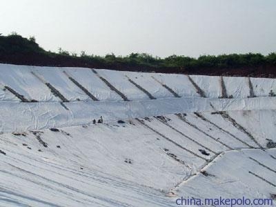 建筑加固對生態(tài)平衡的具體影響，加固，探尋其對生態(tài)平衡的具體影響 行業(yè)新聞 第3張