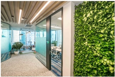 綠色辦公理念的具體實施，綠色辦公理念實施路徑與舉措詳解 行業(yè)新聞 第5張