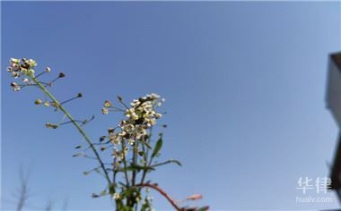 老舊房屋改造補(bǔ)貼申請條件，老舊房屋改造補(bǔ)貼申請，條件全解析 行業(yè)新聞 第3張