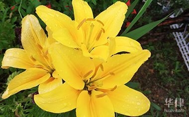 建筑設(shè)計(jì)圖紙版權(quán)保護(hù)期限，建筑設(shè)計(jì)圖紙版權(quán)保護(hù)期限，明晰界限與 行業(yè)新聞 第4張