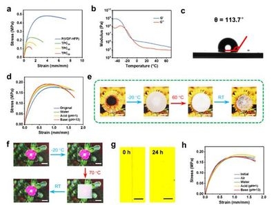 聚合物材料的環(huán)境適應(yīng)性，聚合物材料的環(huán)境適應(yīng)性研究與應(yīng)用 行業(yè)新聞 第6張