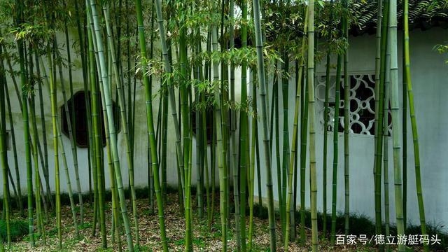 建筑模板材料環(huán)保性能比較，建筑模板材料環(huán)保性能對(duì)比分析 行業(yè)新聞 第4張