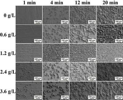 磷化處理后涂層厚度變化規(guī)律，磷化處理后涂層厚度變化規(guī)律研究 行業(yè)新聞 第3張