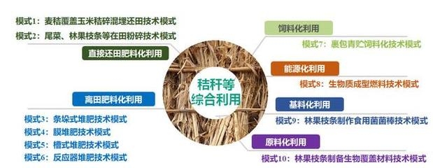 農(nóng)業(yè)廢棄物資源化利用，農(nóng)業(yè)廢棄物資源化利用的現(xiàn)狀與未來發(fā)展路徑 行業(yè)新聞 第2張