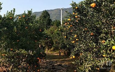 施工安全標(biāo)準(zhǔn)執(zhí)行情況，施工安全標(biāo)準(zhǔn)執(zhí)行情況檢查報(bào)告 行業(yè)新聞 第4張