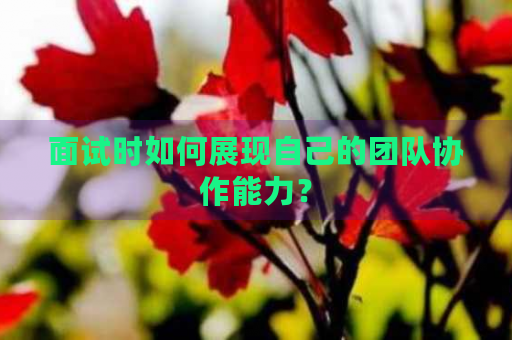 面試展現(xiàn)團(tuán)隊(duì)協(xié)作的實(shí)例選擇，如何選擇最佳實(shí)例在面試中展現(xiàn)團(tuán)隊(duì)協(xié)作能力 行業(yè)新聞 第3張