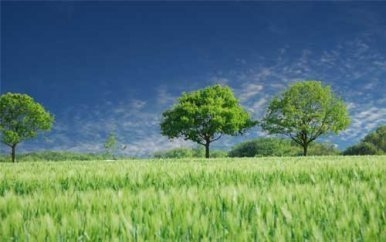 設(shè)計(jì)公司員工培訓(xùn)的有效方法有哪些？提升設(shè)計(jì)公司員工技能的10種高效培訓(xùn)方法 行業(yè)新聞 第2張