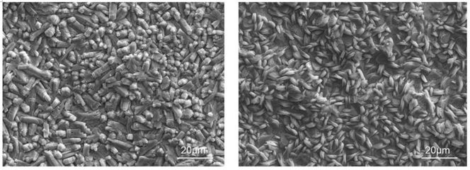 磷化處理對(duì)涂層耐腐蝕性的影響，磷化處理對(duì)涂層耐腐蝕性能的影響研究 行業(yè)新聞 第6張