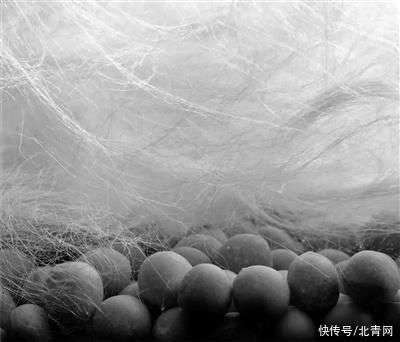 碳纖維材料在極寒環(huán)境中的性能，碳纖維材料在極寒環(huán)境中的性能表現(xiàn)研究 行業(yè)新聞 第5張