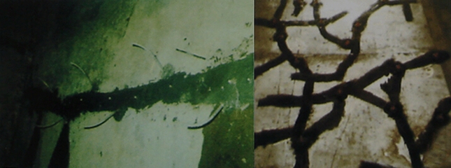 粘鋼加固無損檢測技術(shù)應(yīng)用，粘鋼加固無損檢測技術(shù)的應(yīng)用研究與實踐 行業(yè)新聞 第2張