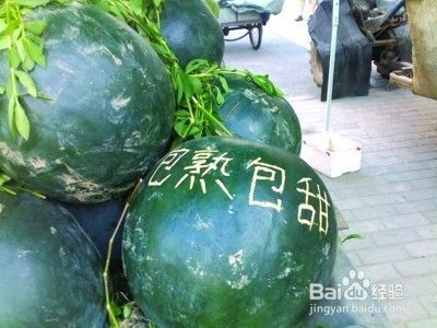 建筑英才網(wǎng)簡(jiǎn)歷優(yōu)化技巧，建筑英才網(wǎng)簡(jiǎn)歷優(yōu)化技巧，打造專業(yè)高效的求職簡(jiǎn)歷 行業(yè)新聞 第2張