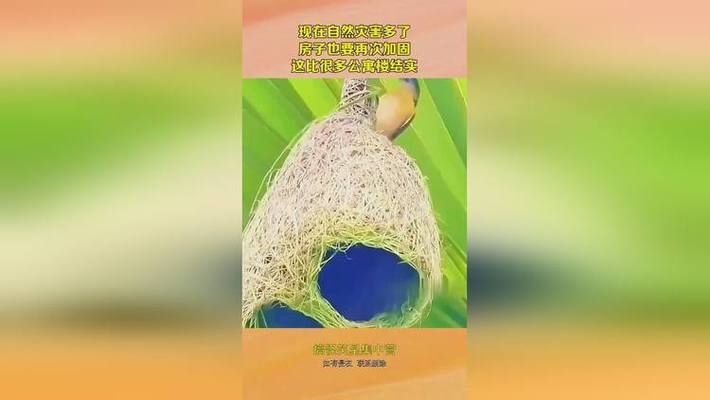 自然災(zāi)害對(duì)加固需求的影響，自然災(zāi)害頻發(fā)背景下建筑結(jié)構(gòu)加固需求的演變與應(yīng)對(duì)策略 行業(yè)新聞 第2張